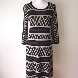 Earthy Brown long sleeved dress.